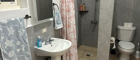 Een douche, een haardroger, handdoeken, zeep