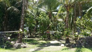 A tropical garden with palm trees, a stone wall, and a wooden bridge. - Monte Carlo Camiguin Ruins, Looc Catarman Camiguin (Catarman)