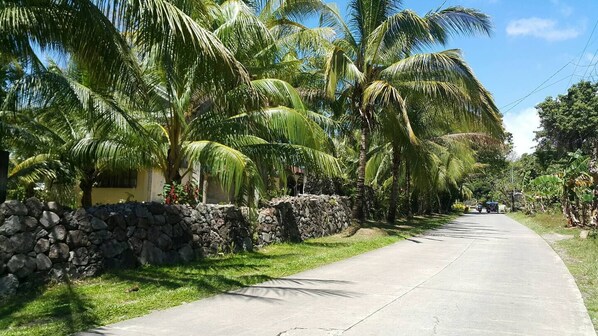 Property grounds