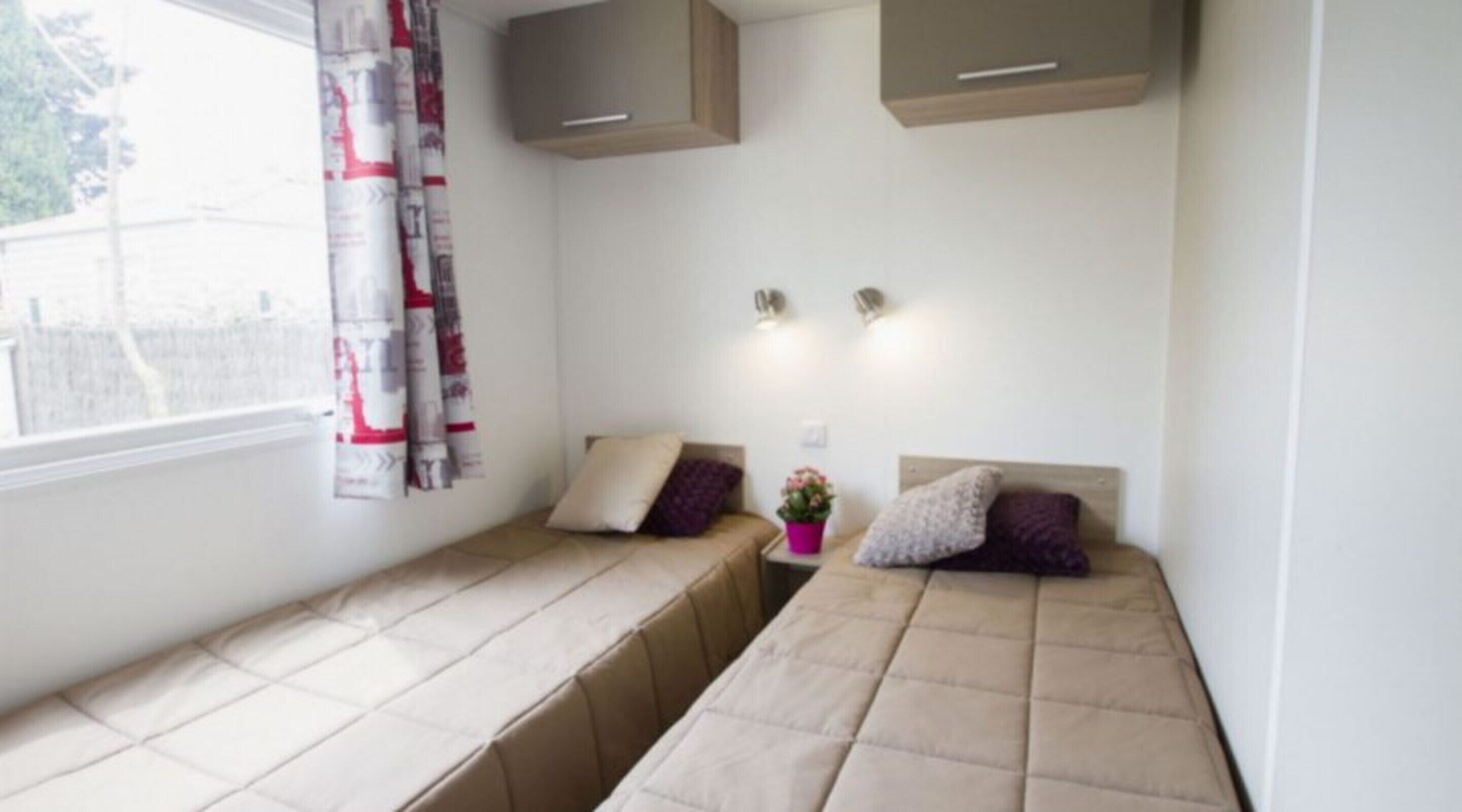 A room with two single beds, a small table with a potted plant, and a window with curtains.