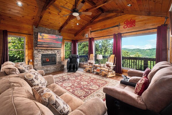 TV, fireplace, video games, DVD player