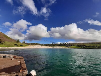 Te Maori House