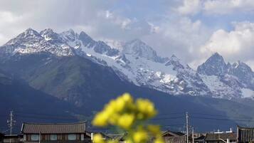 Un edificio japonés tradicional con vistas a montañas nevadas.