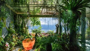 A lush indoor garden with a large orange bowl, dense foliage, and a view of a lake and mountains through a glass enclosure.