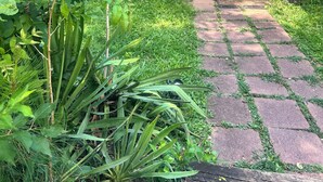 Una casa de ladrillo con un sendero empedrado que lleva a la puerta.
