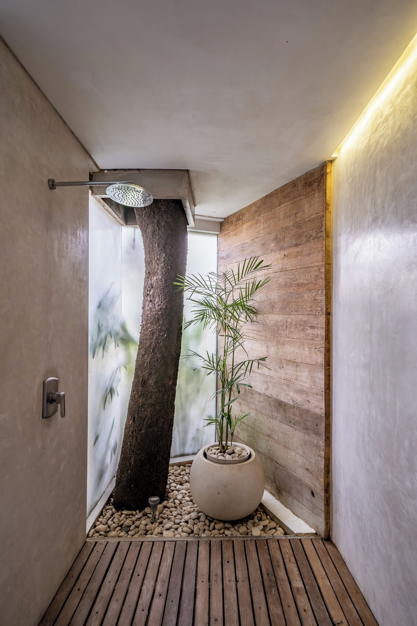 Ein modernes Badezimmer mit Holzboden, einem großen Baumstamm und einem Bambuspflanzen in einem Topf.