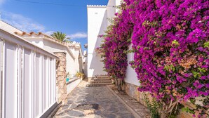 A narrow stone-paved alleyway flanked by white buildings with vibrant purple bougainvillea.