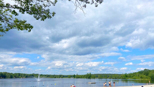 A lakeside view with a sandy beach, a grassy area, and a row of trees.