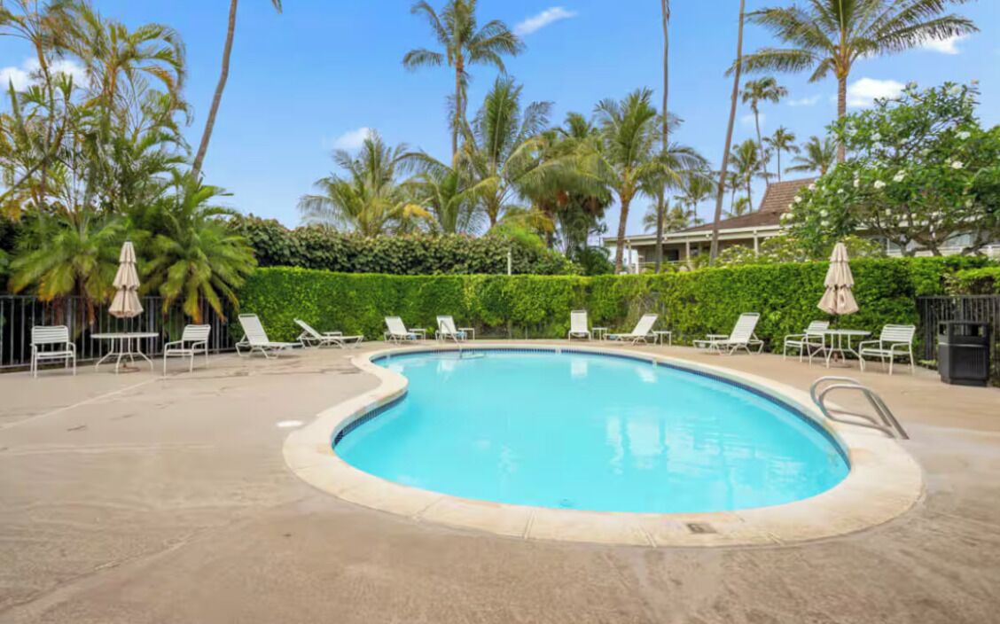 A swimming pool with lounge chairs and umbrellas, surrounded by palm trees and a hedge.