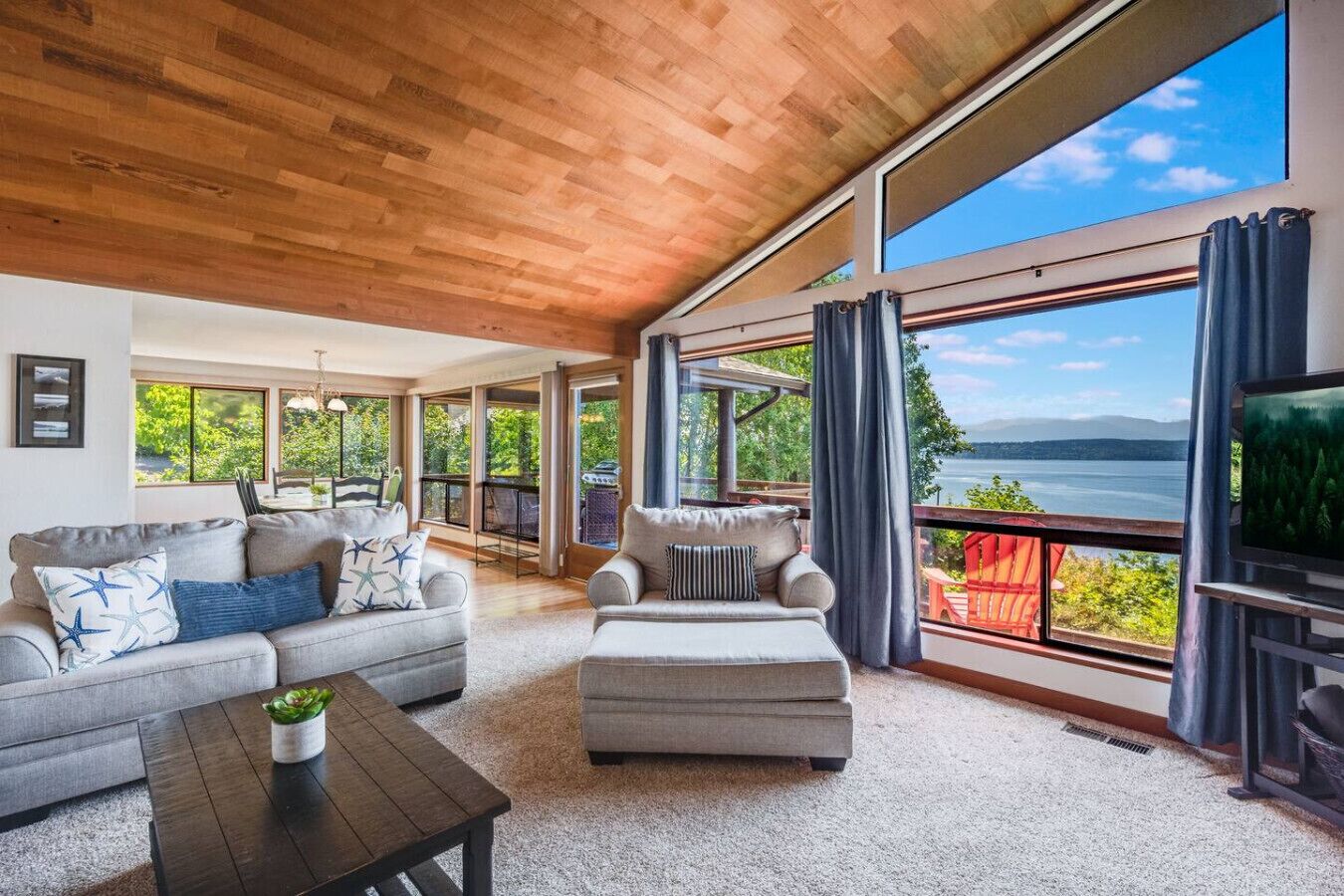 智能电视、壁炉