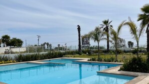 A rectangular swimming pool with a tiled edge, surrounded by a grassy area and palm trees.