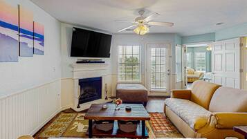 TV, fireplace, books