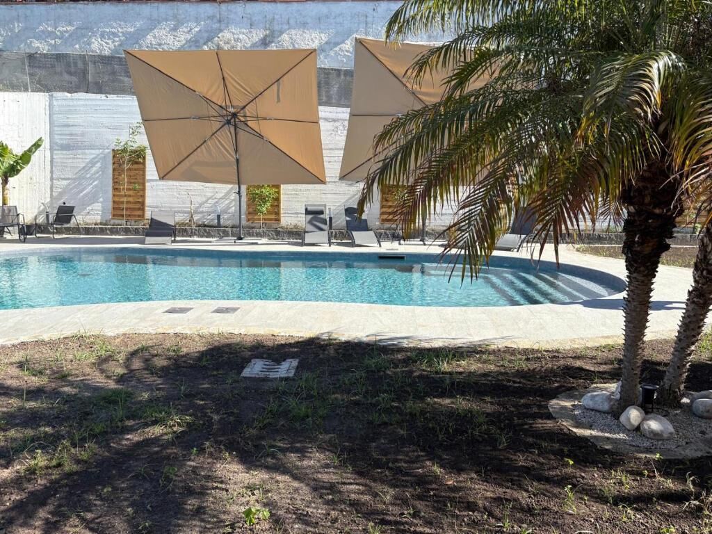 Una piscina con lettini e ombrelloni, circondata da palme e un muro in cemento.