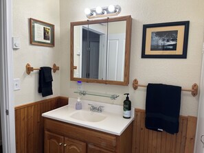 Séchoir à cheveux, serviettes fournies, papier de toilette