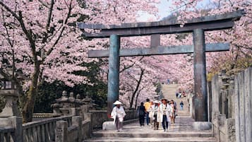 En stenlagd gång leder upp till en traditionell japansk torii-port, omgiven av blommande körsbärsträd.