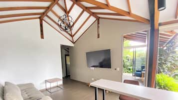 Smart TV, lareira, livros, aparelho de som