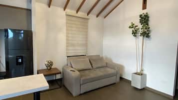 Smart TV, fireplace, books, stereo