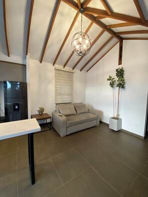 Smart TV, caminetto, libri, impianto stereo
