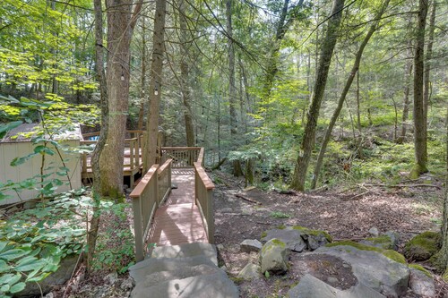 Creek Dips & S’mores: Catskills Gem