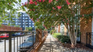 A sidewalk lined with a brick building, a tree with pink flowers, and parked cars. - Downtown Raleigh, Pet Friendly, Close to everything. (Raleigh)