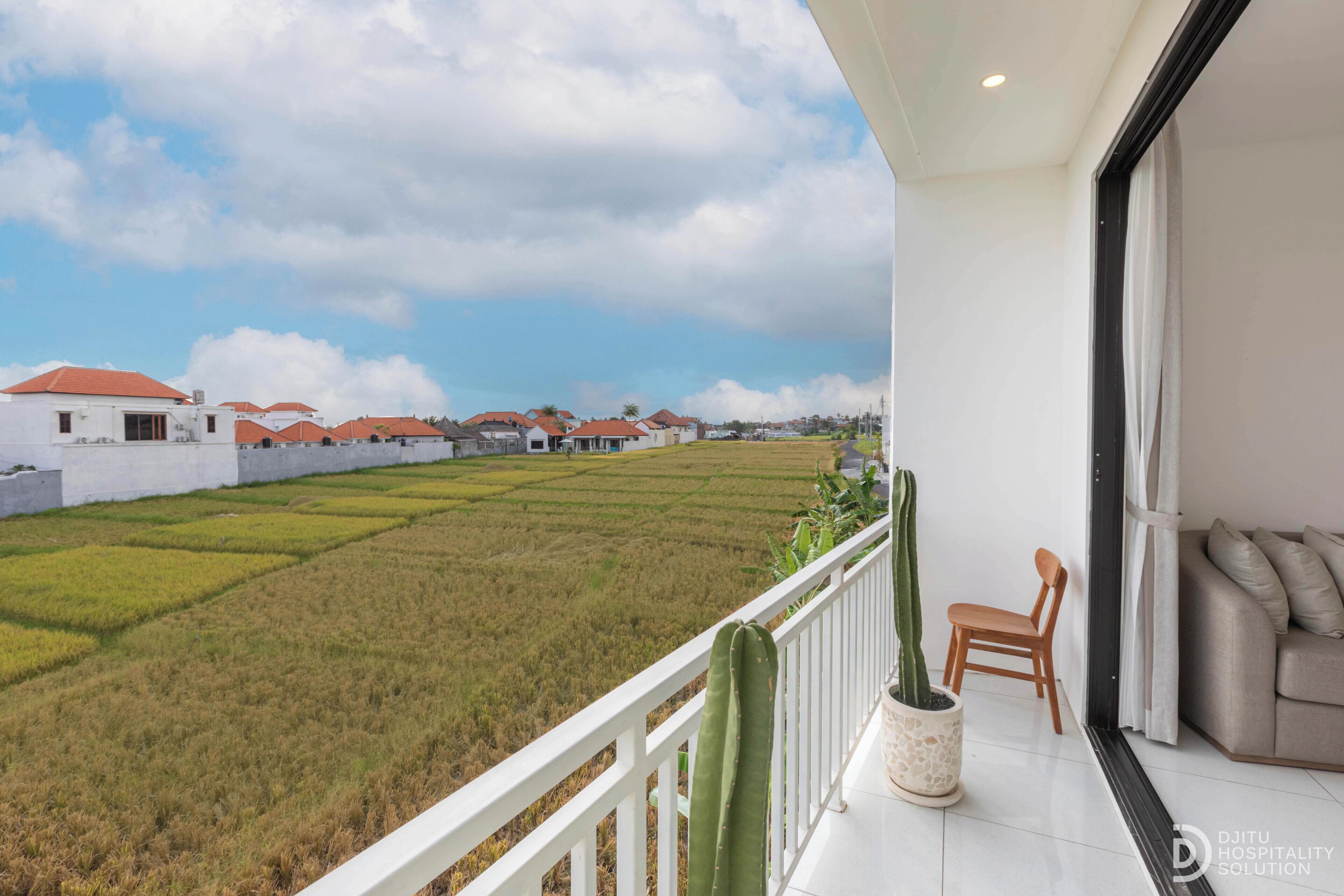 A balcony with a view of rice fields, a cactus plant, and a sofa.