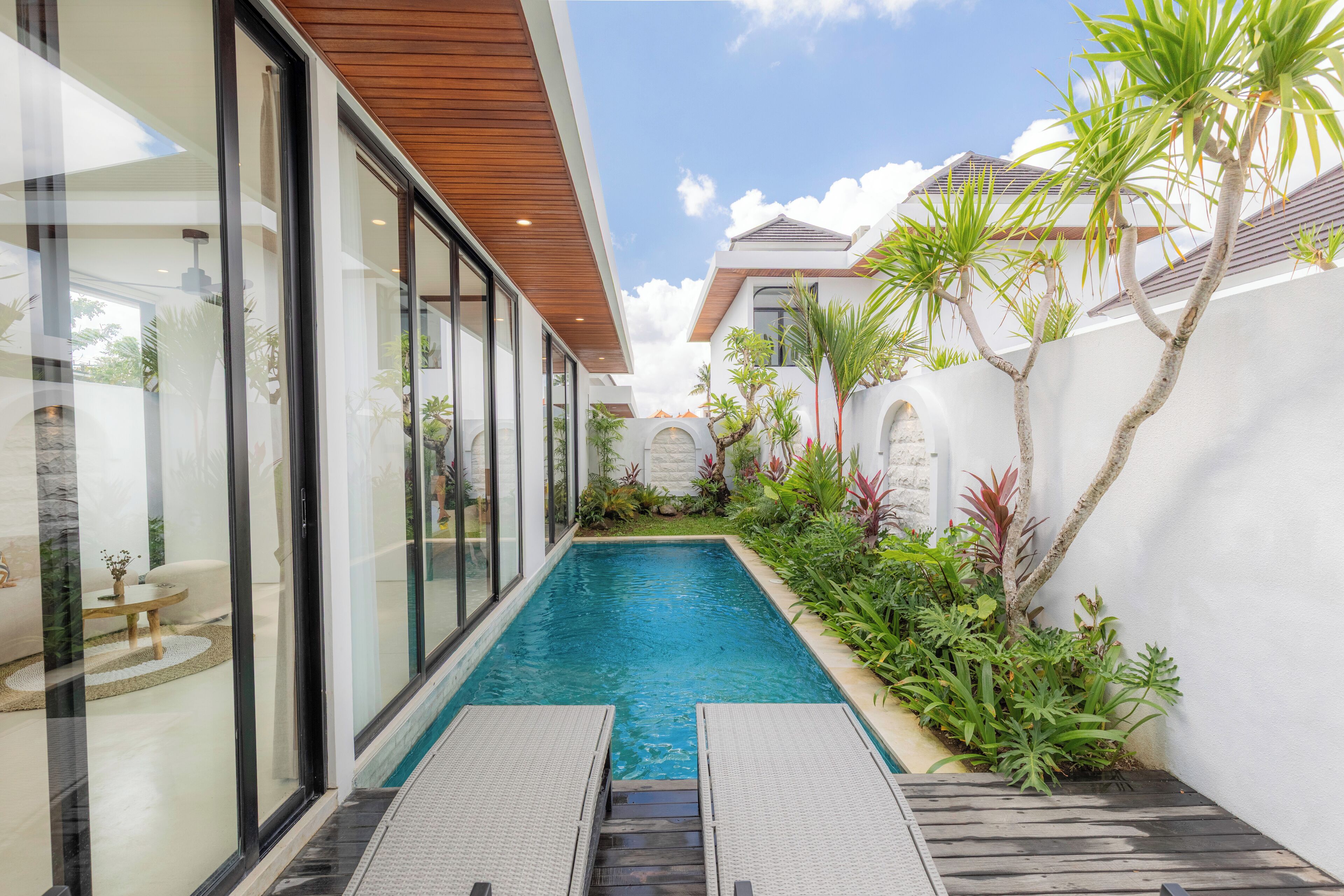 A modern house with a swimming pool, glass doors, and a garden with tropical plants.