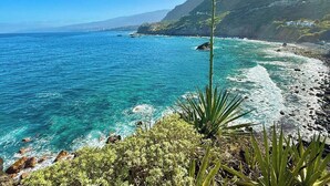 A coastal landscape with clear blue waters, rocky shoreline, and vegetation. - Casa Ale, endless sea view ! (Las Aguas)