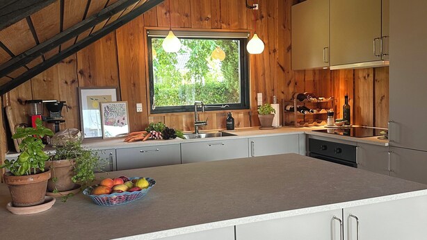 A kitchen with wooden walls, a window, a sink, and a countertop with potted plants and a fruit bowl. - Cozy summer house with new kitchen and bathroom (Karrebæksminde)