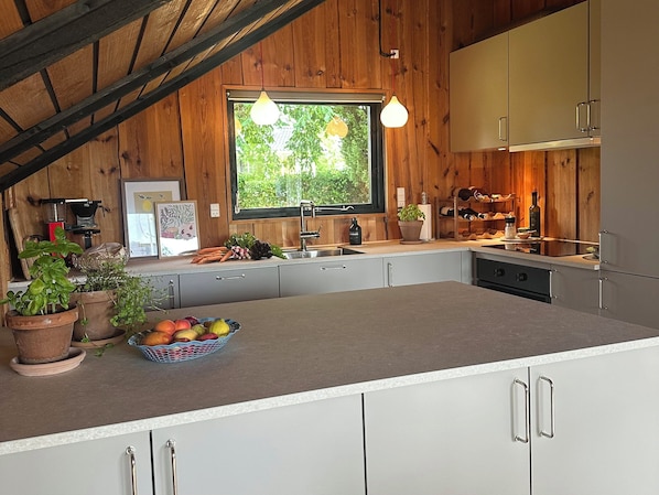 A kitchen with wooden walls, a window, a sink, and a countertop with potted plants and a fruit bowl.