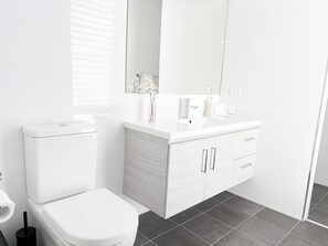 Hair dryer, towels, soap, shampoo
