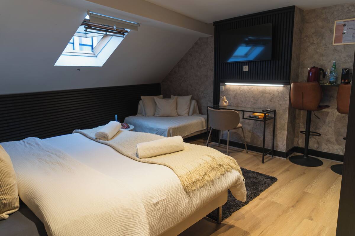 Basic Room | Laptop workspace, iron/ironing board (on request), free WiFi