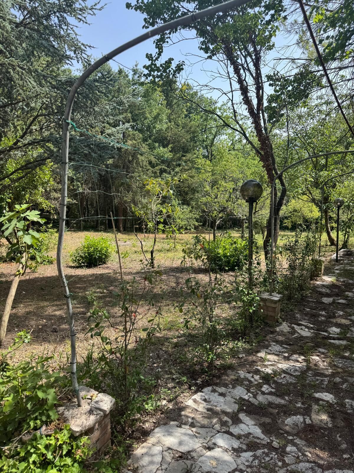 A garden with stone pathways, various plants, and a metal fence.