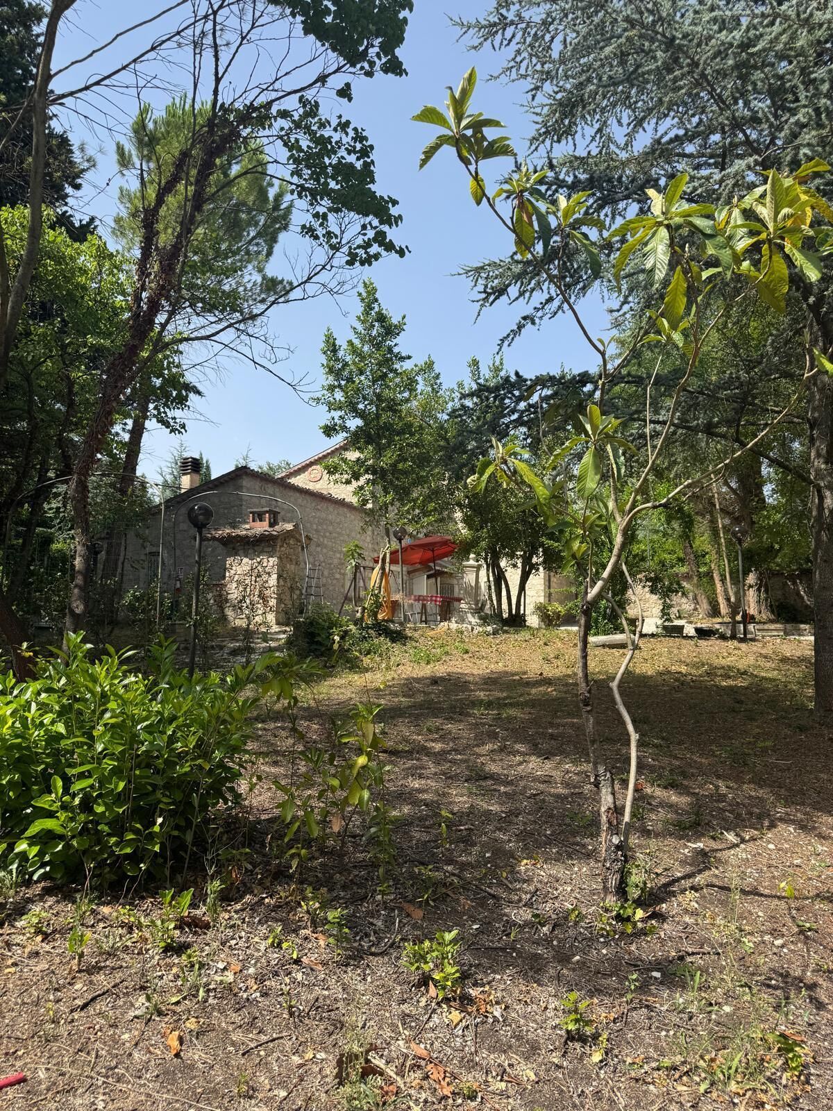 A rustic stone building with a red roof, surrounded by dense greenery and trees.