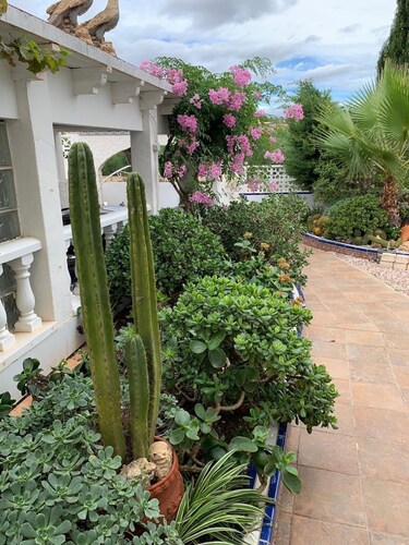 Villa in Orihuela Costa for 6 Guests