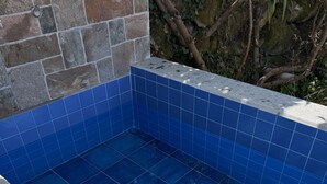 Una piscina rectangular con azulejos azules y un borde de piedra.