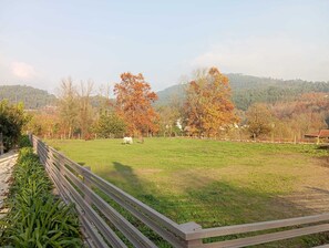 住宿地面