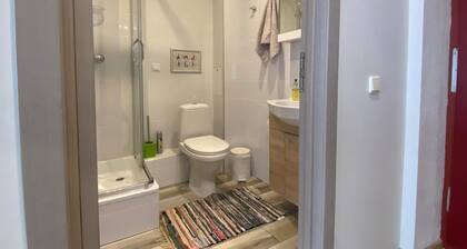 Family and Group Apartment in silent Center of Riga with parking