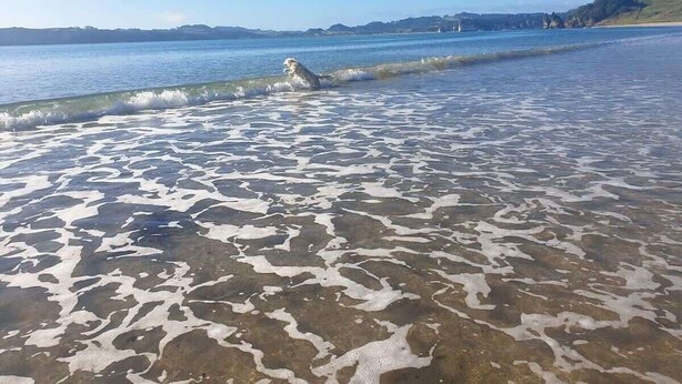Plage