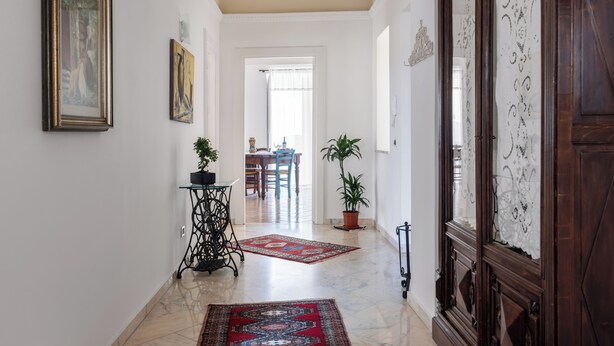 Un couloir avec une porte en bois, un tapis rouge à motifs et deux plantes en pot.