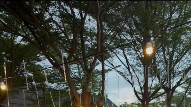 An outdoor cafe with wooden tables and chairs, a yellow sign reading "PERHENTIAN MJ CAFE", and trees providing shade.