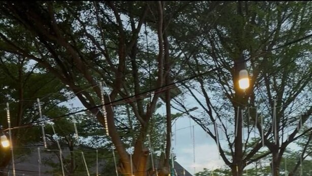 An outdoor cafe with wooden tables and chairs, a yellow sign reading "PERHENTIAN MJ CAFE", and trees providing shade. - PerhentianMj FishermanVillage  (Pulau Perhentian Kecil)