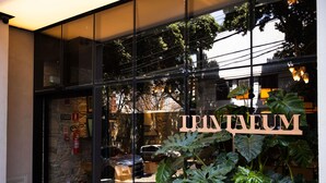 Una entrada con fachada de vidrio y un letrero que dice 'TRINTEUM', con plantas verdes grandes en el frente.