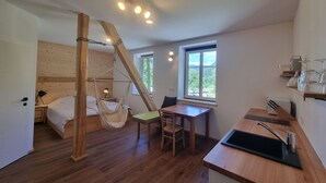 A room with a bed, a hammock, a dining table, and a kitchen area with a sink and utensils. - Vila Zora | Studio apartment | Jezersko (Zgornje Jezersko)
