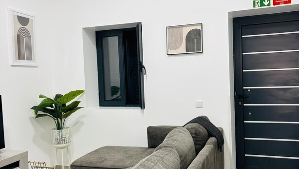 A modern living room with a grey sectional sofa, a small table, a potted plant, and a black door with emergency signage.