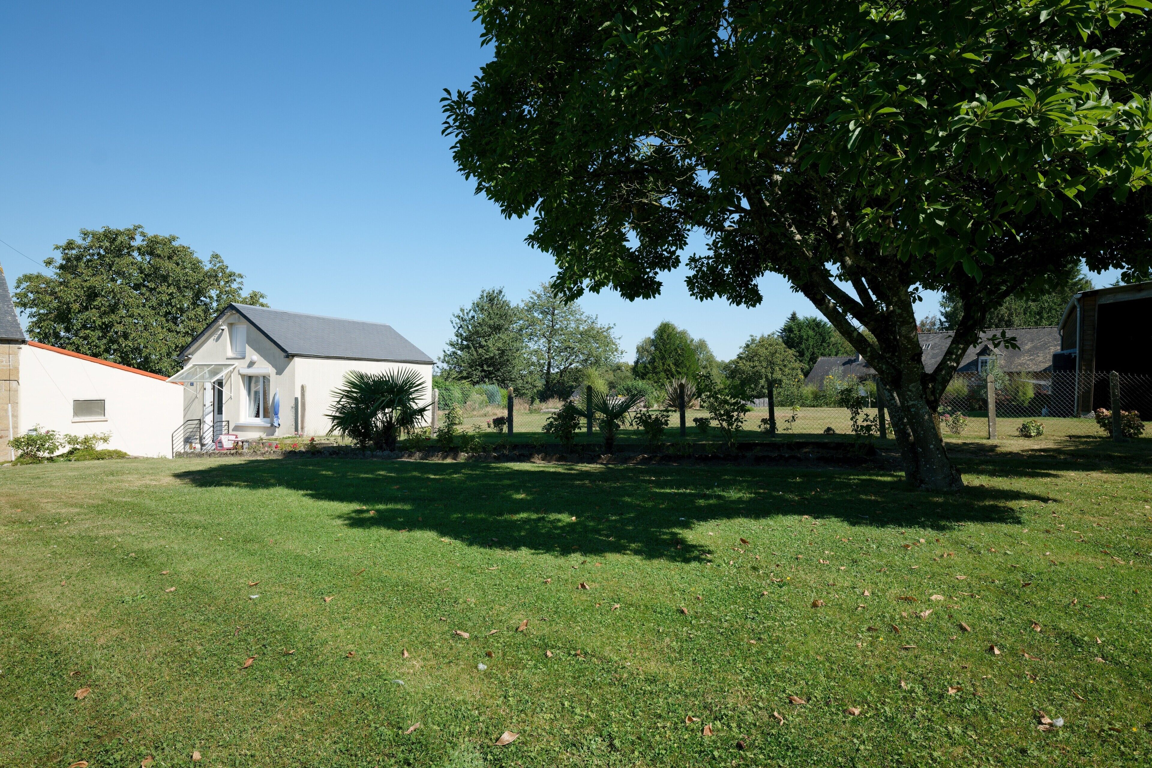 A residential area with a house, a lawn, and a large tree.