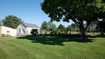 A residential area with a house, a lawn, and a large tree.