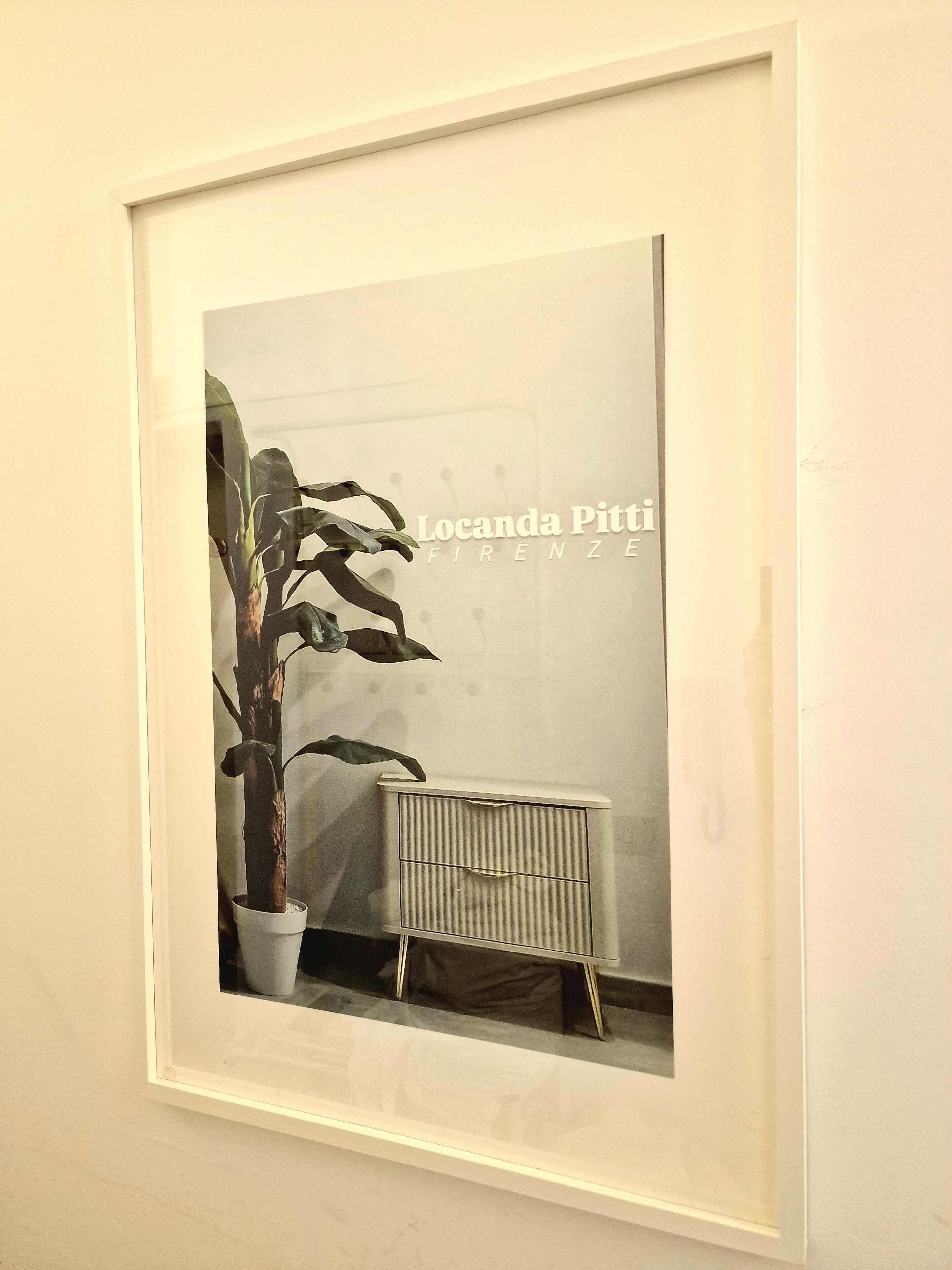 A framed photograph of a potted plant and a radiator in a room.