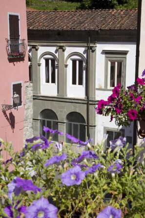 Detalle exterior