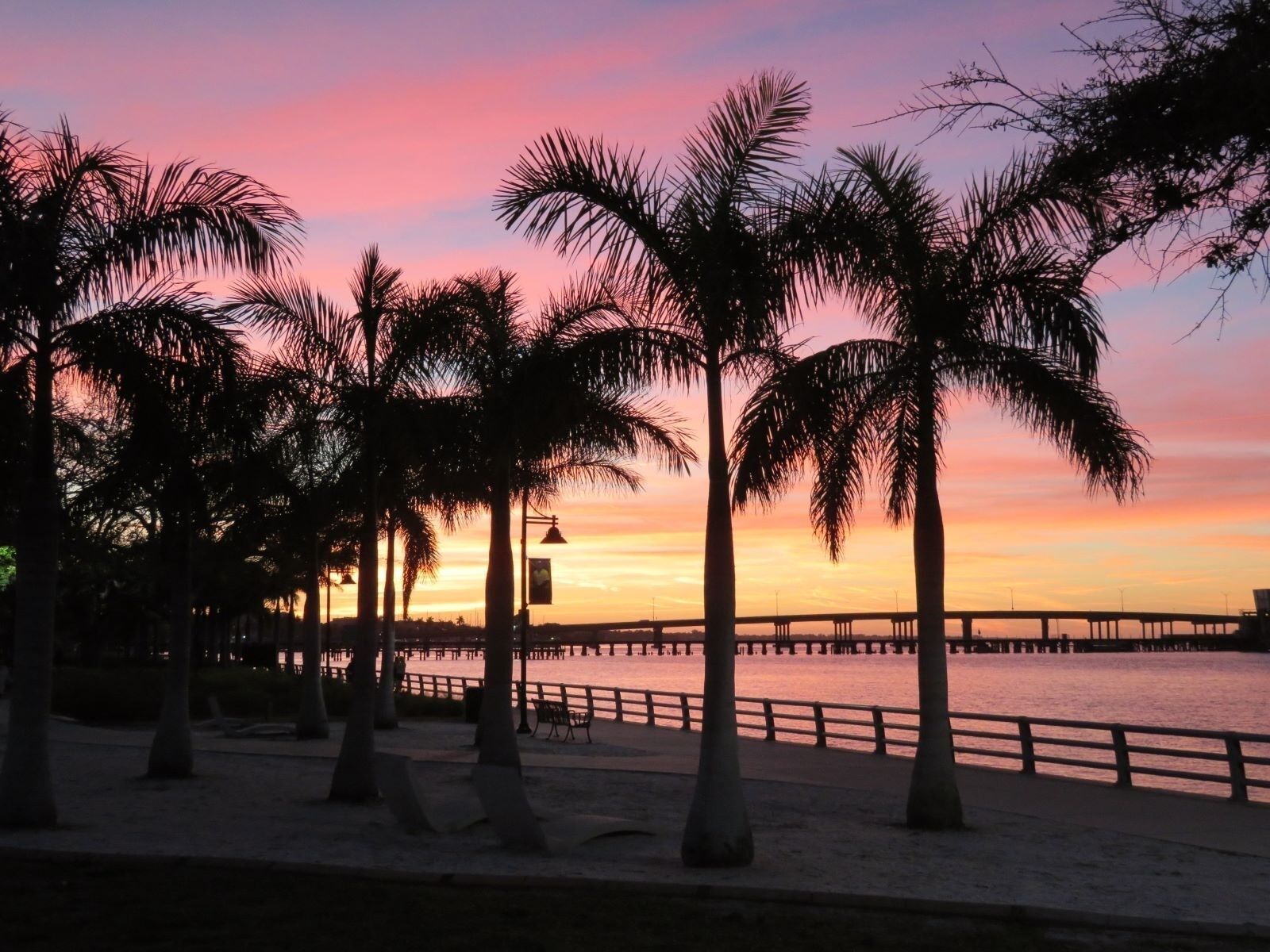 A sunset view with palm trees and a pier extending into the water.