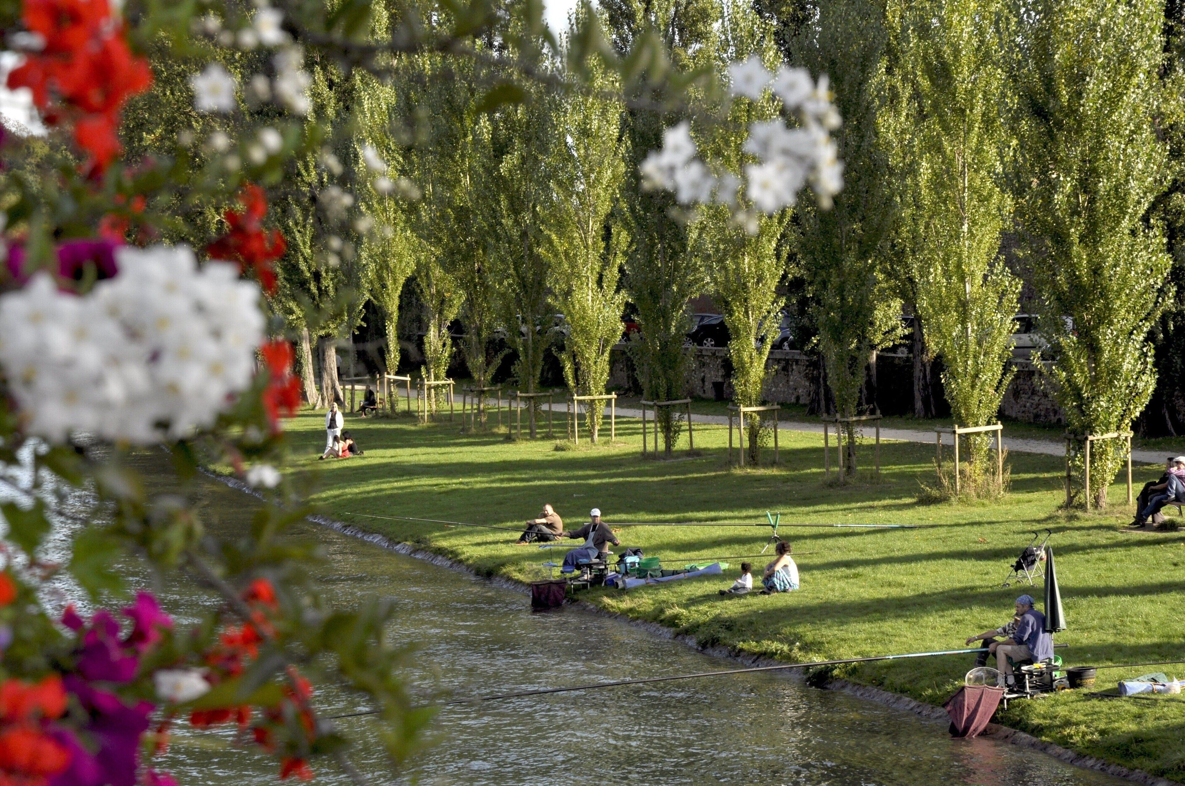 Un parc al costat del riu amb persones fent de pescadors, arbres i una zona verda.